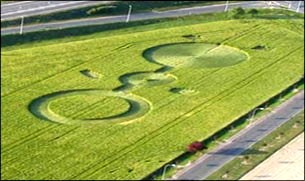 crop circle d'Amilly