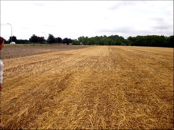 champ du crop circle