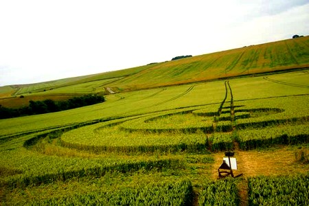 Crop circle de Bourges