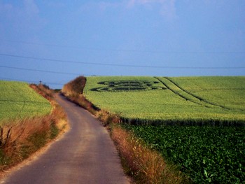 crop_circles_en_belgique_2009