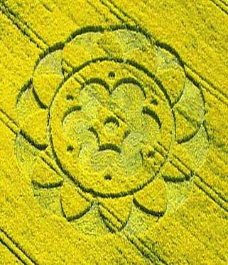 crop circle