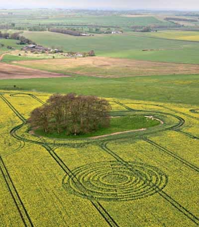 crop circle