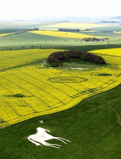 crop circle