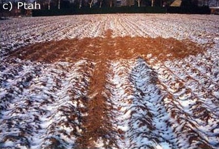 La neige a fondu plus vite sur les traces du crop circle