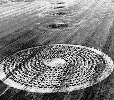Crop circle