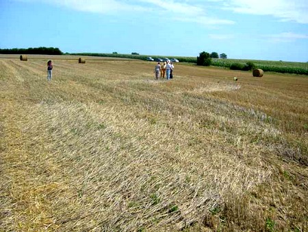 Crop circle d'Hérange