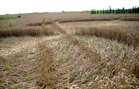 Crop circle d'Hérange