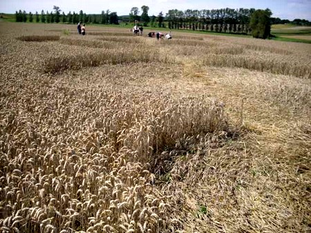 Crop circle d'Hérange