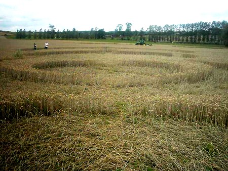 Crop circle d'Hérange