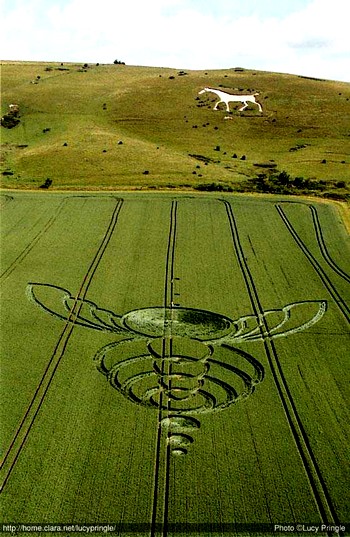 crop circle