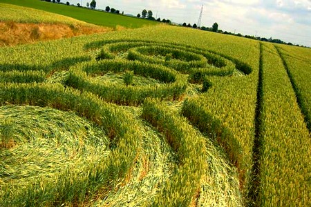 Crop circle de Rémicourt