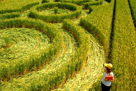 Crop circle de Rémicourt