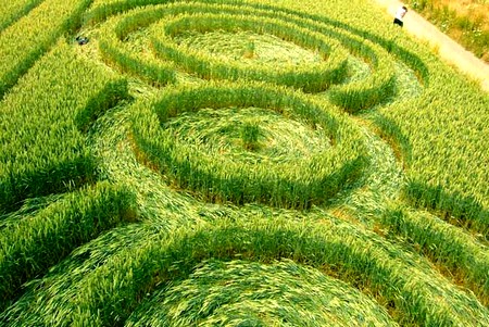 Crop circle de Rémicourt