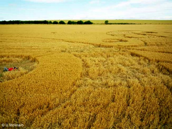 crop circle 