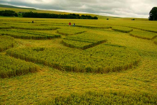 PHOTO CROP CIRCLE