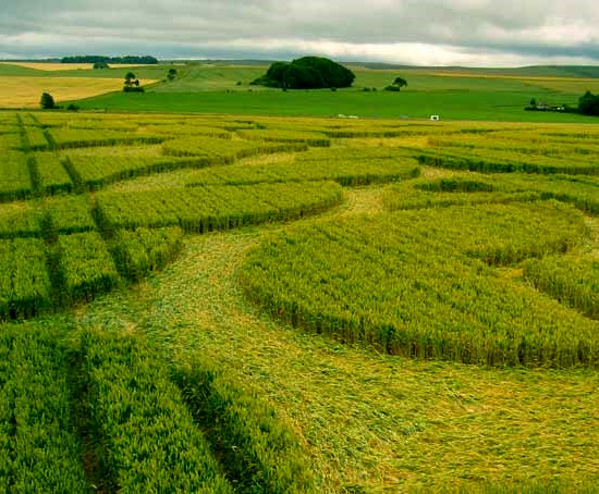 photo crop circle
