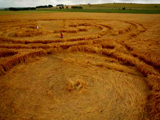 crop circle