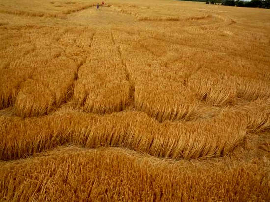crop circle
