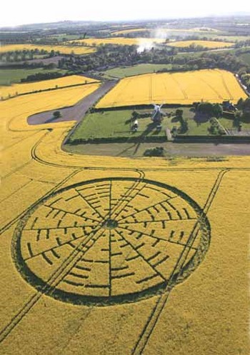 Un des premiers crop circle de 2010