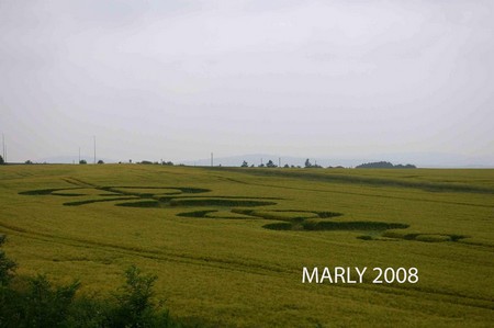 Crop circle de Marly 2008